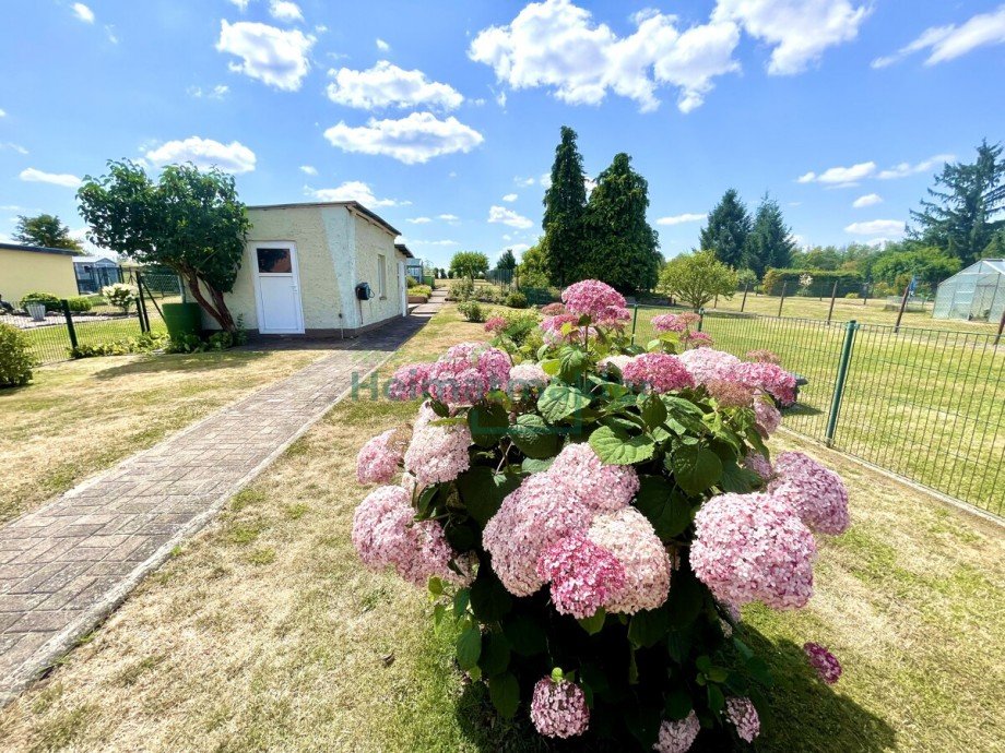 Garten Doppelhaush�lfte Nienburg (Saale)