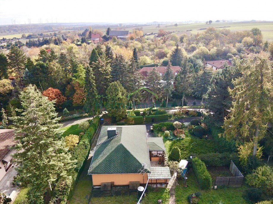 Luftbild Einfamilienhaus Aschersleben