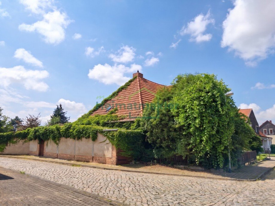 Ansicht Doppelhaush�lfte Gatersleben