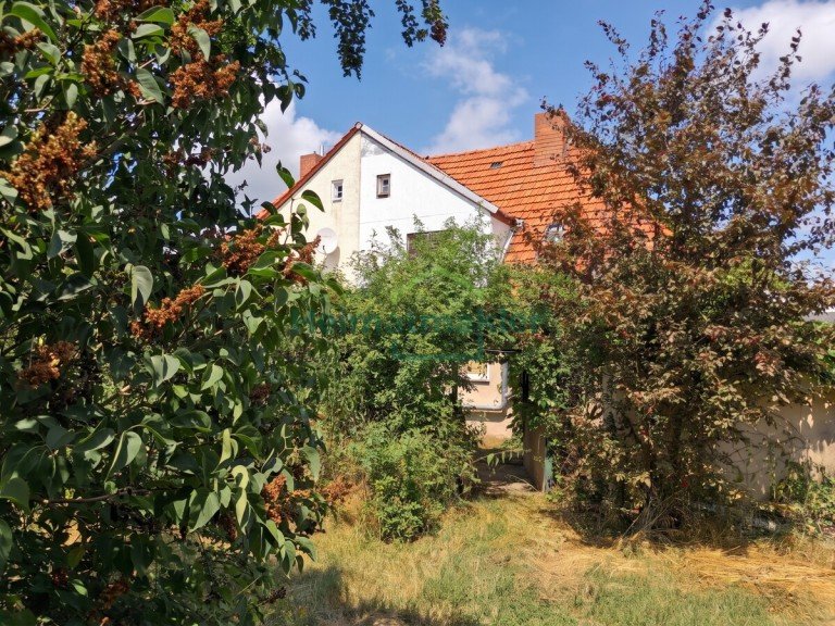 Ansicht Gatersleben Doppelhaush�lfte Sch�ne Doppelhaush�lfte will aus den Dornr�schenschlaf erweckt werden