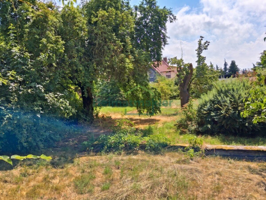Garten Doppelhaush�lfte Gatersleben